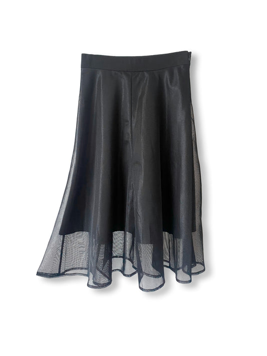 Mystique Mesh Layer Skirt
