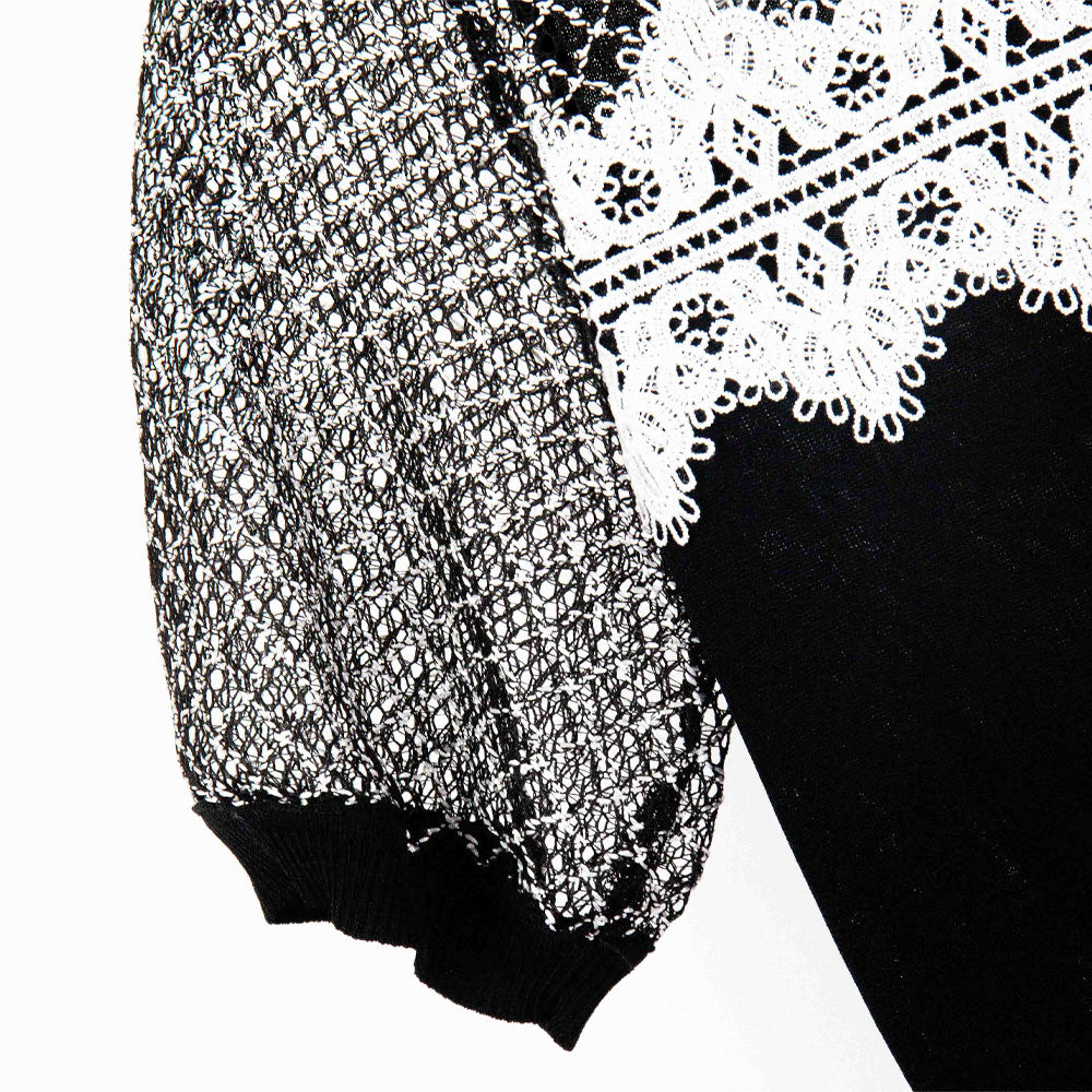 Chic Lace Knit Top